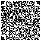 QR code with Professional Glazing contacts