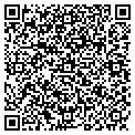 QR code with Magnolia contacts