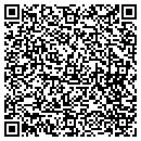 QR code with Prince Telecom LLC contacts