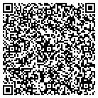 QR code with Pugliese Interior Systems contacts