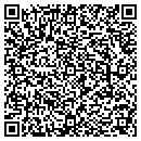 QR code with Chameleon Resurfacing contacts