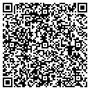 QR code with Brians Ornamental Iron contacts