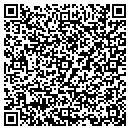 QR code with Pullin Painting contacts