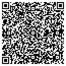 QR code with Premier Striping contacts
