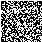 QR code with Bluewater Builders Inc contacts