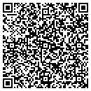 QR code with Premier Scaffold contacts