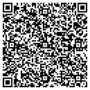 QR code with Precision Woods Inc contacts