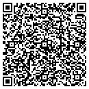 QR code with Professional Walls contacts