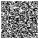 QR code with Custom Views contacts