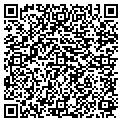 QR code with Mfg Inc contacts
