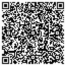 QR code with Pro Window & Siding contacts
