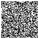 QR code with Blarney Stoneworks Inc contacts
