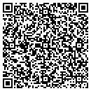 QR code with Premier Drywall Inc contacts