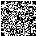 QR code with Precision Stucco Inc contacts