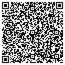 QR code with Blueray Systems contacts