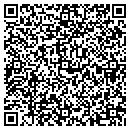 QR code with Premier Sales Inc contacts