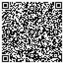 QR code with Pure Air Inc contacts