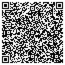 QR code with Pro 1 Communications contacts