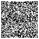 QR code with Carter Services Inc contacts