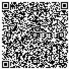 QR code with Pumping Solutions Inc contacts