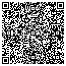 QR code with Premiere Pallets Co contacts