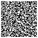QR code with Protocol Inc contacts