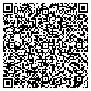QR code with Pr Caribe Inflatables contacts