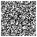 QR code with Critical Solutions contacts