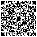 QR code with Ppm 2000 Inc contacts