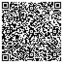 QR code with Practice Insight LLC contacts