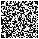 QR code with Practical Vision LLC contacts