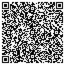 QR code with Publication Design contacts