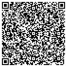 QR code with Public Interest Graphics contacts