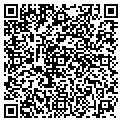 QR code with P L Pc contacts