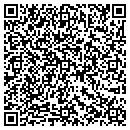 QR code with Blueline Auto Group contacts