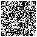 QR code with Digital Signal contacts