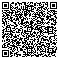QR code with Negets contacts