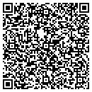 QR code with Colorscripts Plus Inc contacts