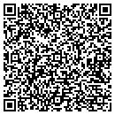 QR code with Provision Forge contacts