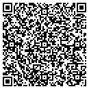 QR code with Bgr Cascades LLC contacts