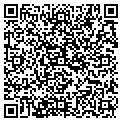 QR code with Carved contacts