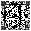 QR code with Tavico contacts
