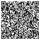 QR code with Briar Patch contacts