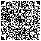 QR code with Public Library Systems contacts
