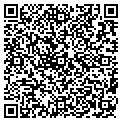 QR code with Jewels contacts