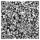 QR code with Pyromania Glass contacts