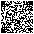 QR code with Protek Glass LLC contacts