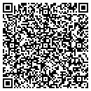 QR code with Crystal D Creations contacts