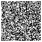 QR code with Blue Valley Software contacts