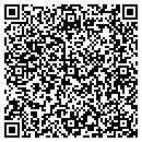 QR code with Pva Unlimited Inc contacts